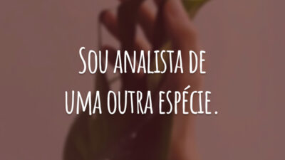 Sou analista de uma outra espécie.