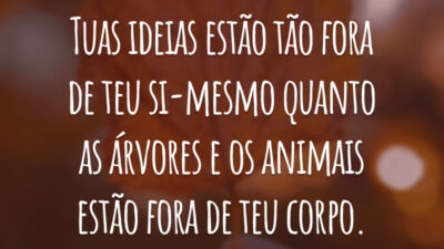 Tuas ideias estão tão fora de teu si-mesmo quanto as árvores e os animais estão fora de teu corpo.