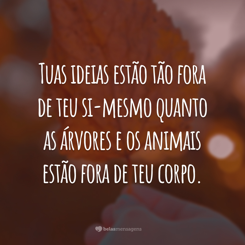 Tuas ideias estão tão fora de teu si-mesmo quanto as árvores e os animais estão fora de teu corpo.