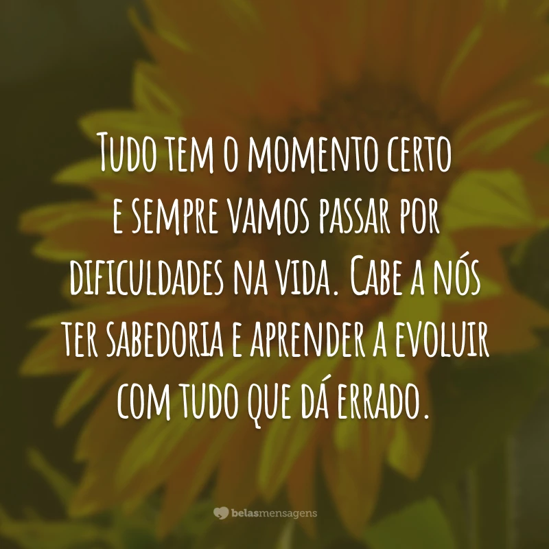 Tudo tem o momento certo e sempre vamos passar por dificuldades na vida. Cabe a nós ter sabedoria e aprender a evoluir com tudo que dá errado.