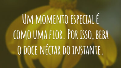 Um momento especial é como uma flor. Por isso, beba o doce néctar do instante.