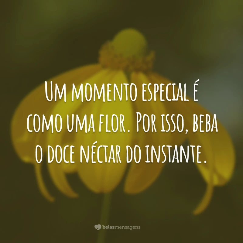 Um momento especial é como uma flor. Por isso, beba o doce néctar do instante.