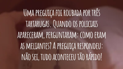 Uma preguiça foi roubada por três tartarugas. Quando os policiais apareceram, perguntaram: como eram as meliantes? A preguiça respondeu: não sei, tudo aconteceu tão rápido!