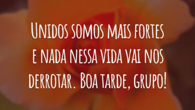 Unidos somos mais fortes e nada nessa vida vai nos derrotar. Boa tarde, grupo!