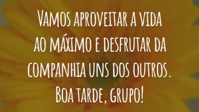 Vamos aproveitar a vida ao máximo e desfrutar da companhia uns dos outros. Boa tarde, grupo!