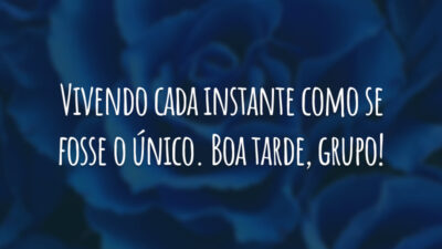 Vivendo cada instante como se fosse o único. Boa tarde, grupo!