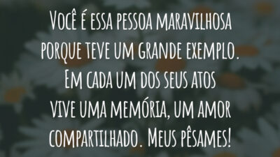 Você é essa pessoa maravilhosa porque teve um grande exemplo. Em cada um dos seus atos vive uma memória, um amor compartilhado. Meus pêsames!