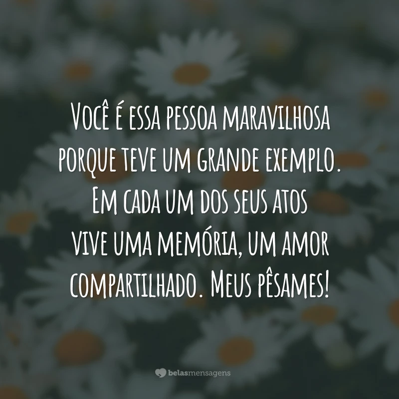 Você é essa pessoa maravilhosa porque teve um grande exemplo. Em cada um dos seus atos vive uma memória, um amor compartilhado. Meus pêsames!