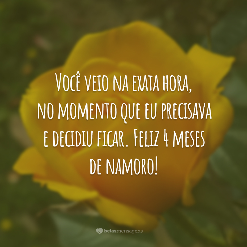 Você veio na exata hora, no momento que eu precisava e decidiu ficar. Feliz 4 meses de namoro!