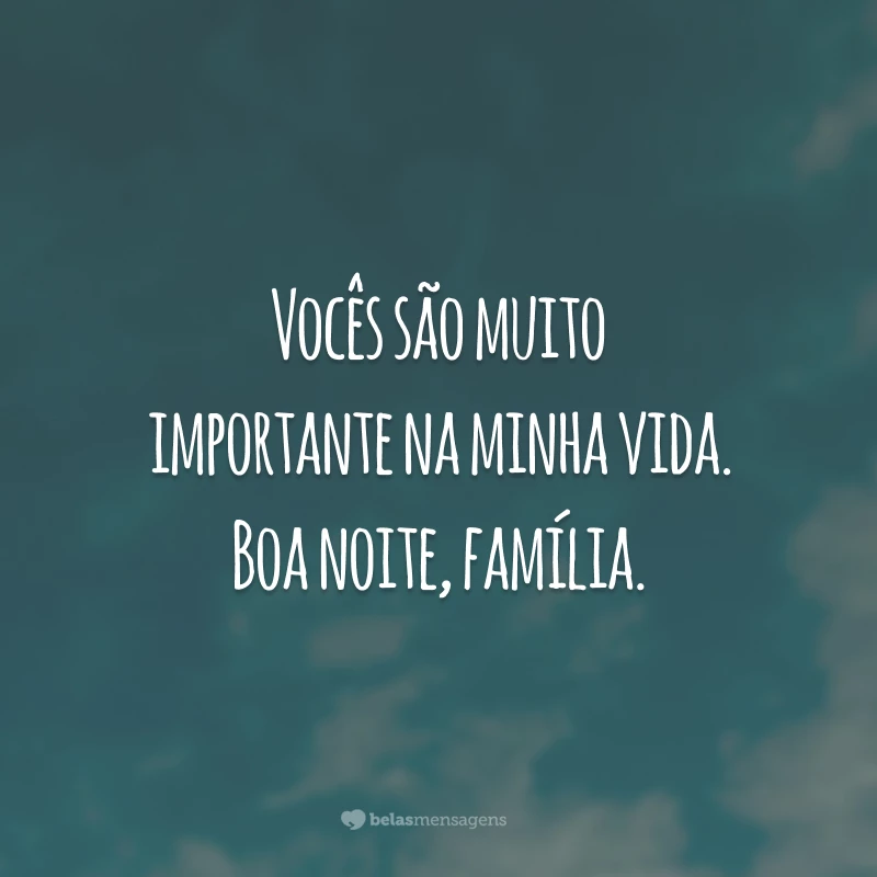 Vocês são muito importante na minha vida. Boa noite, família.