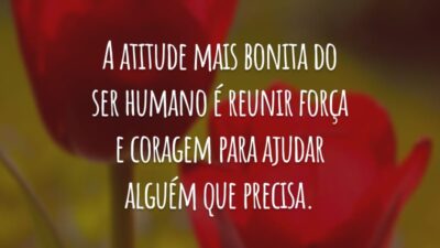 A atitude mais bonita do ser humano é reunir força e coragem para ajudar alguém que precisa.