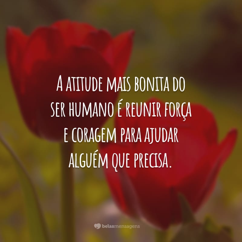 A atitude mais bonita do ser humano é reunir força e coragem para ajudar alguém que precisa.