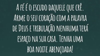 A fé é o escudo daquele que crê. Arme o seu coração com a palavra de Deus e tribulação nenhuma terá espaço na sua casa. Tenha uma boa noite abençoada!