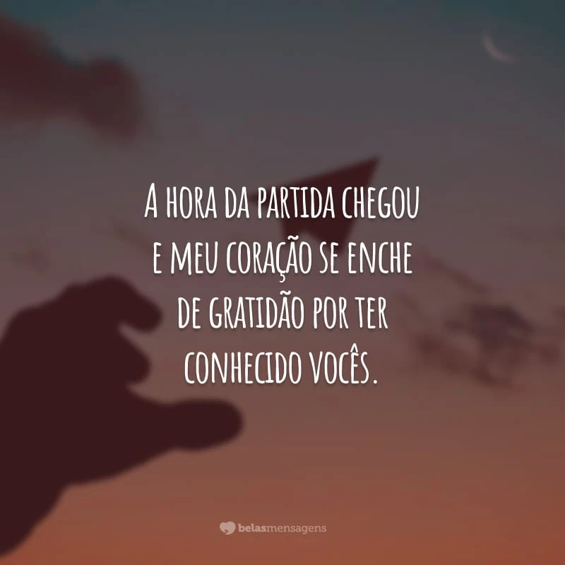 A hora da partida chegou e meu coração se enche de gratidão por ter conhecido vocês. Não digo adeus, colegas. Digo até logo, amigos. Vamos celebrar como sempre as nossas vitórias!