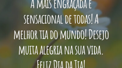 A mais engraçada e sensacional de todas! A melhor tia do mundo! Desejo muita alegria na sua vida. Feliz Dia da Tia!