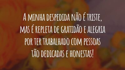 A minha despedida não é triste, mas é repleta de gratidão e alegria por ter trabalhado com pessoas tão dedicadas e honestas!