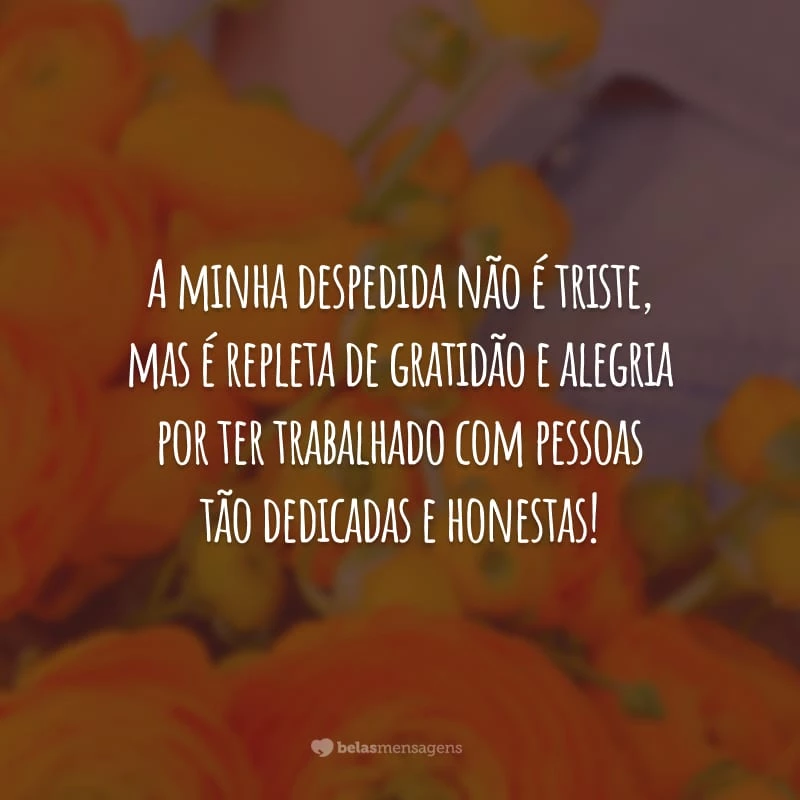 A minha despedida não é triste, mas é repleta de gratidão e alegria por ter trabalhado com pessoas tão dedicadas e honestas!