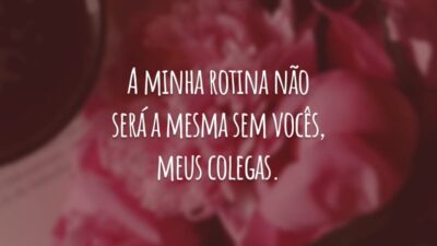 A minha rotina não será a mesma sem vocês, meus colegas. Me despeço com saudade de trabalhar ao lado de pessoas tão competentes e especiais.