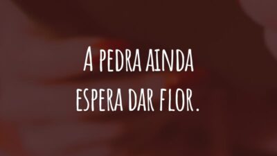 A pedra ainda espera dar flor.