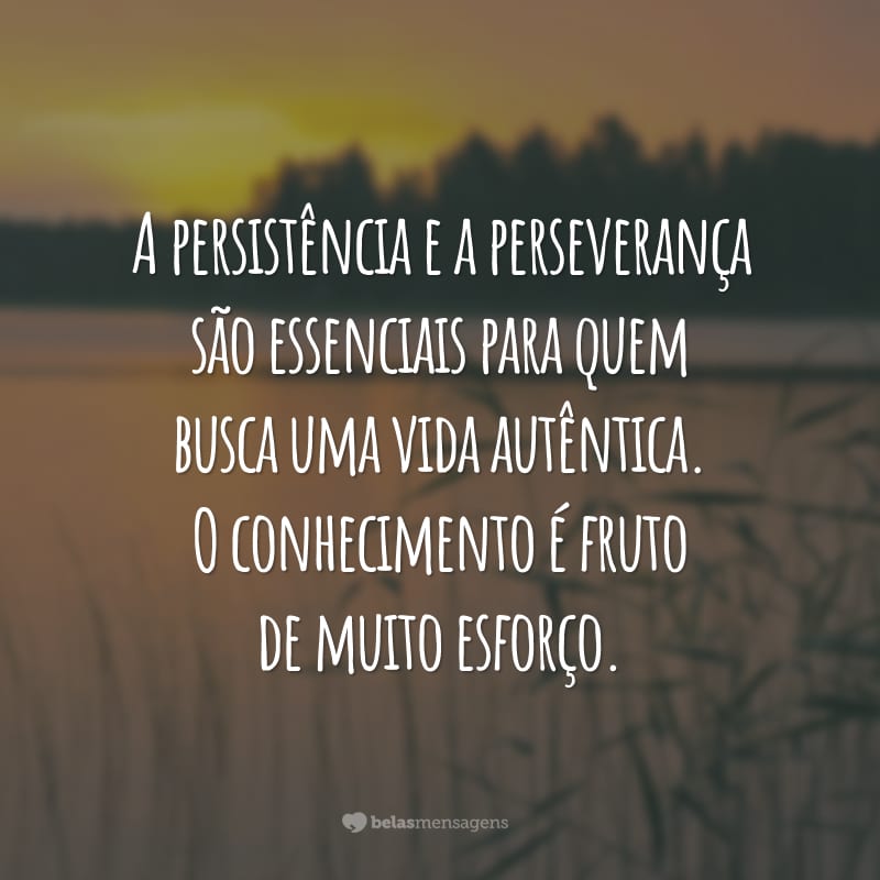 A persistência e a perseverança são essenciais para quem busca uma vida autêntica. O conhecimento é fruto de muito esforço.