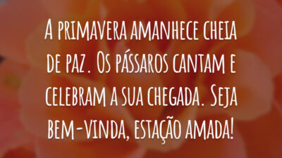 A primavera amanhece cheia de paz. Os pássaros cantam e celebram a sua chegada. Seja bem-vinda, estação amada!