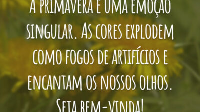 A primavera é uma emoção singular. As cores explodem como fogos de artifícios e encantam os nossos olhos. Seja bem-vinda!
