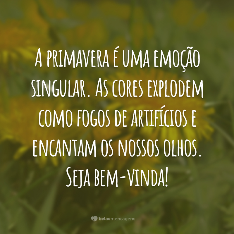 A primavera é uma emoção singular. As cores explodem como fogos de artifícios e encantam os nossos olhos. Seja bem-vinda!