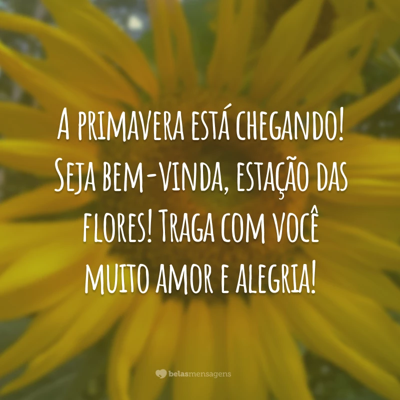 A primavera está chegando! Seja bem-vinda, estação das flores! Traga com você muito amor e alegria!