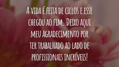 A vida é feita de ciclos e esse chegou ao fim. Deixo aqui meu agradecimento por ter trabalhado ao lado de profissionais incríveis!