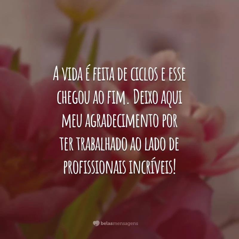 A vida é feita de ciclos e esse chegou ao fim. Deixo aqui meu agradecimento por ter trabalhado ao lado de profissionais incríveis!