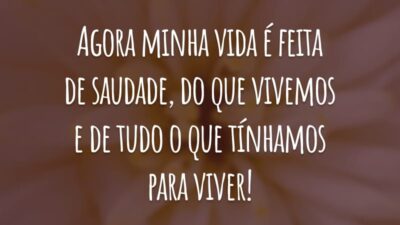 Agora minha vida é feita de saudade, do que vivemos e de tudo o que tínhamos para viver!