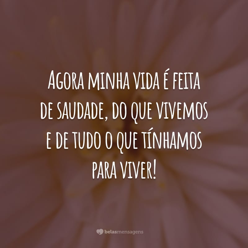 Agora minha vida é feita de saudade, do que vivemos e de tudo o que tínhamos para viver!