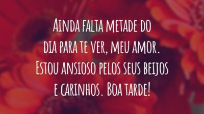 Ainda falta metade do dia para te ver, meu amor. Estou ansioso pelos seus beijos e carinhos. Boa tarde!