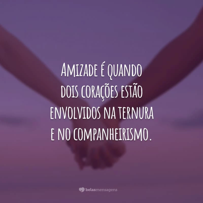 Amizade é quando dois corações estão envolvidos na ternura e no companheirismo. Aos meus amigos, todo o meu carinho e gratidão!