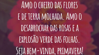 Amo o cheiro das flores e de terra molhada. Amo o desabrochar das rosas e a explosão verde das folhas. Seja bem-vinda, primavera!