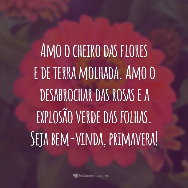 Amo o cheiro das flores e de terra molhada. Amo o desabrochar das rosas e a explosão verde das folhas. Seja bem-vinda, primavera!