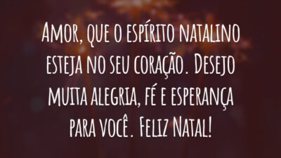 Amor, que o espírito natalino esteja no seu coração. Desejo muita alegria, fé e esperança para você. Feliz Natal!