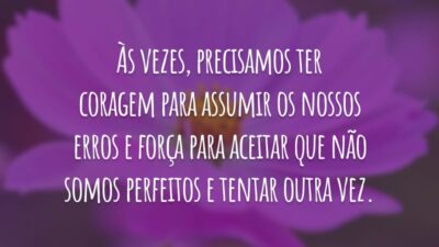 Às vezes, precisamos ter coragem para assumir os nossos erros e força para aceitar que não somos perfeitos e tentar outra vez.