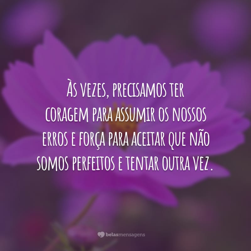 Às vezes, precisamos ter coragem para assumir os nossos erros e força para aceitar que não somos perfeitos e tentar outra vez.