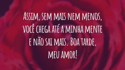 Assim, sem mais nem menos, você chega até a minha mente e não sai mais. Boa tarde, meu amor!
