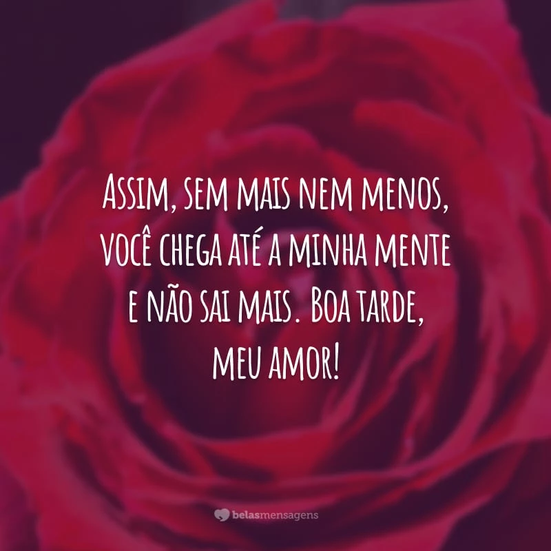 Assim, sem mais nem menos, você chega até a minha mente e não sai mais. Boa tarde, meu amor!