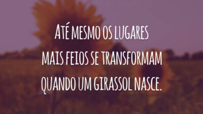 Até mesmo os lugares mais feios se transformam quando um girassol nasce.