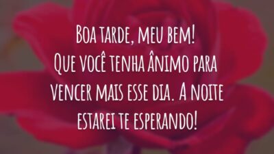 Boa tarde, meu bem! Que você tenha ânimo para vencer mais esse dia. A noite estarei te esperando!