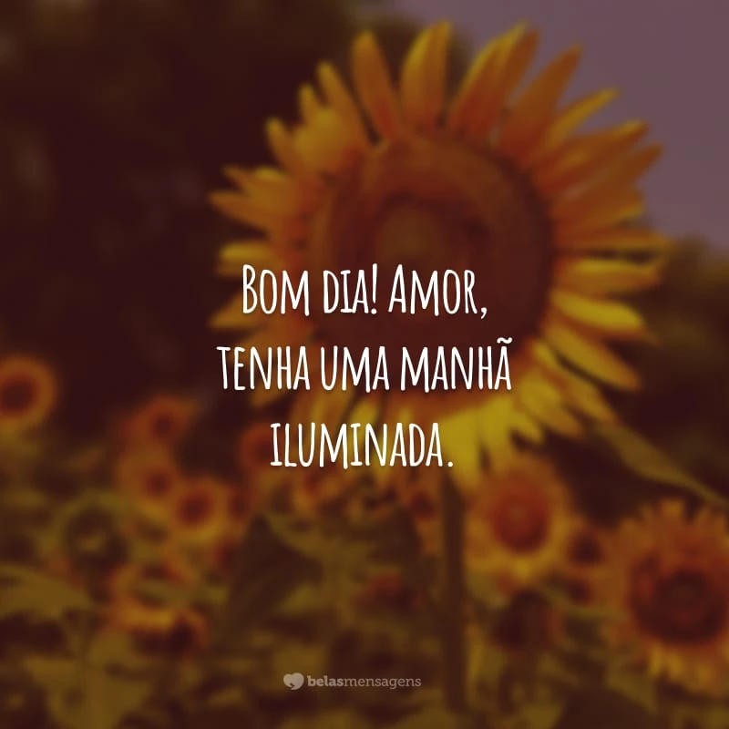 Bom dia! Amor, tenha uma manhã iluminada. Quando sair de casa, não esqueça de levar a alegria! Desejo muita energia positiva para você!