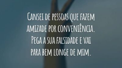 Cansei de pessoas que fazem amizade por conveniência. Pega a sua falsidade e vai para bem longe de mim.