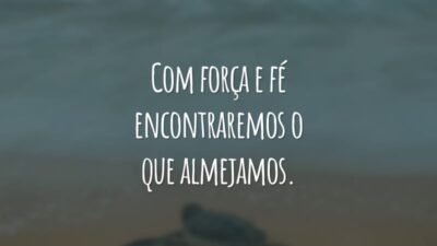 Com força e fé encontraremos o que almejamos.