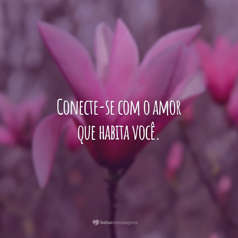 Conecte-se com o amor que habita você.