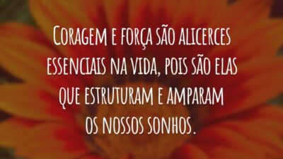 Coragem e força são alicerces essenciais na vida, pois são elas que estruturam e amparam os nossos sonhos.