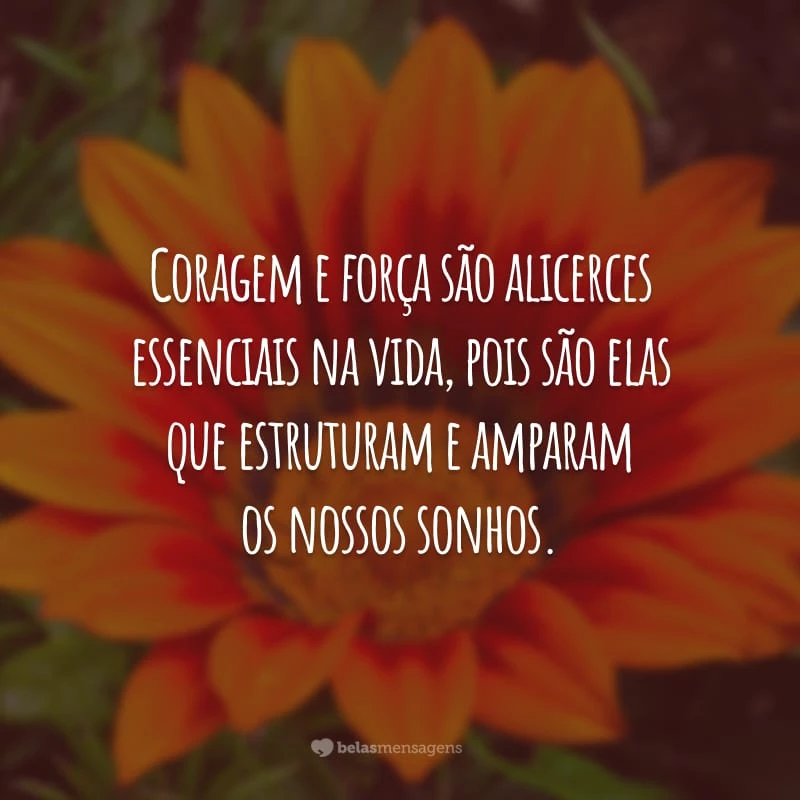 Coragem e força são alicerces essenciais na vida, pois são elas que estruturam e amparam os nossos sonhos.