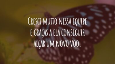 Cresci muito nessa equipe e graças a ela conseguir alçar um novo voo. Obrigada, colegas por serem tão generosos com seus conhecimentos.